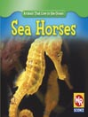 Sea Horses